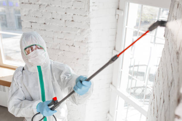  Atherton, CA Mold Removal Pros